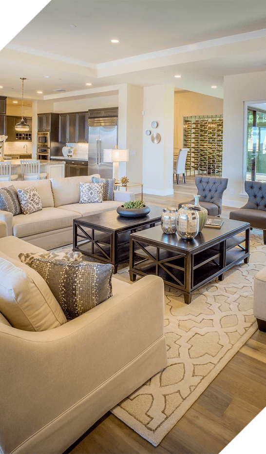 Beautiful living room
